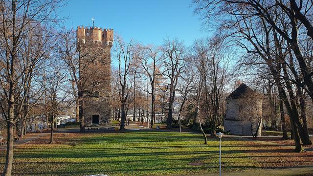 Cieszyn Castle